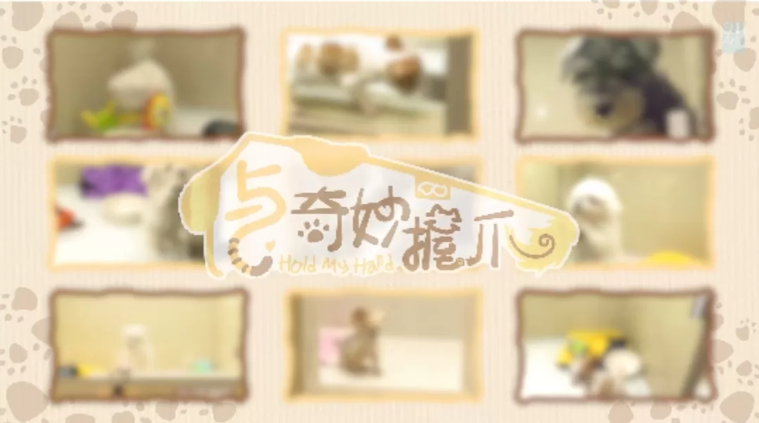 与奇妙握爪