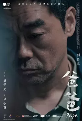 爸爸2024[电影解说]