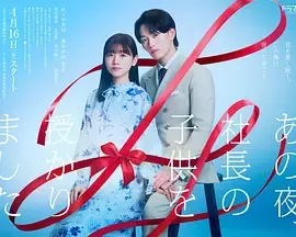那一夜，我怀了社长的孩子