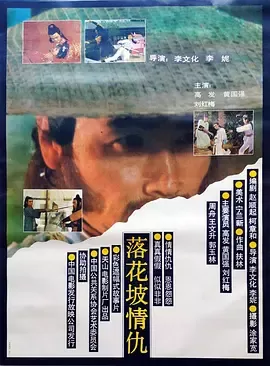 落花坡情仇[电影解说]