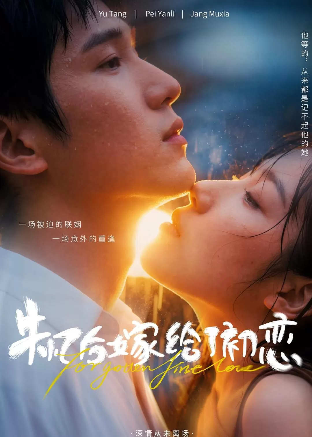 失忆后嫁给了初恋