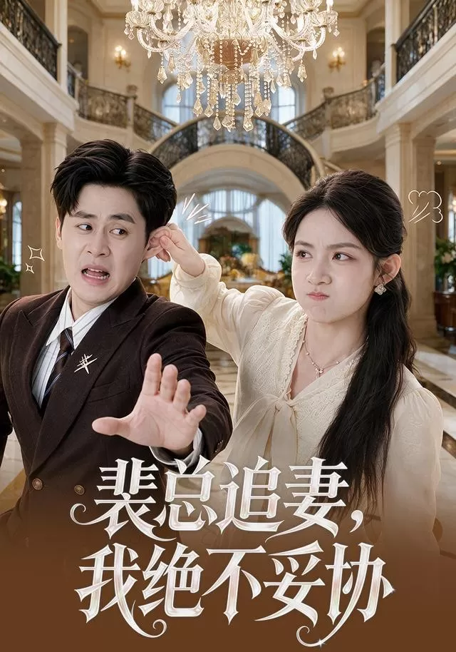 裴总追妻，我绝不妥协