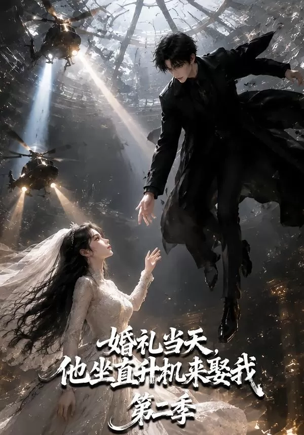 婚礼当天，他坐直升机来娶我第二季