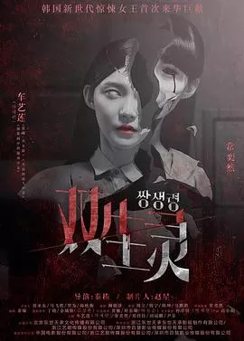 双生灵[电影解说]
