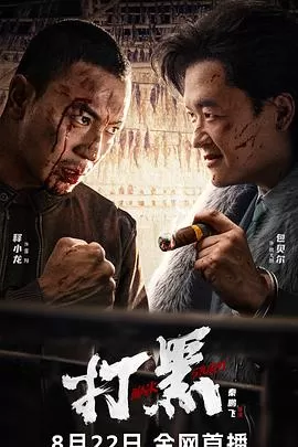 打黑2024[电影解说]